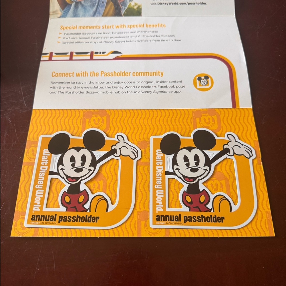 Disney World Annual Passholder Magnets - yellow and Black set of 2